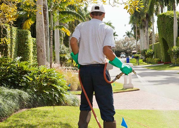 About Winchendon MA Pest Control Pros